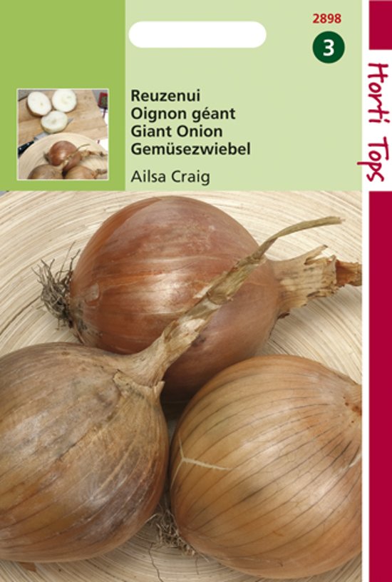 Giant onion Ailsa Craig (Allium cepa) 600 seeds